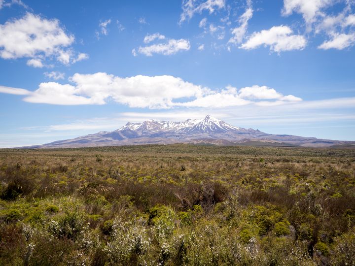 Government funding gives Mt Ruapehu gondola the green light