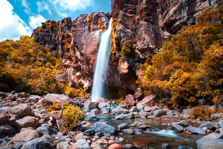 5 of the best Tongariro National Park must-dos